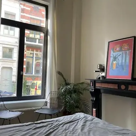 Gezellig Gerenoveerd Herenhuis In Het Centrum Vakantiehuis Antwerpen